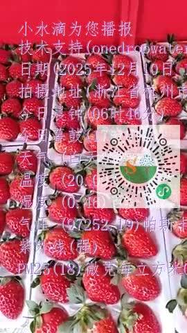 ljYqon4rnS9EH3NKlz0gJkjpNRKtmp4