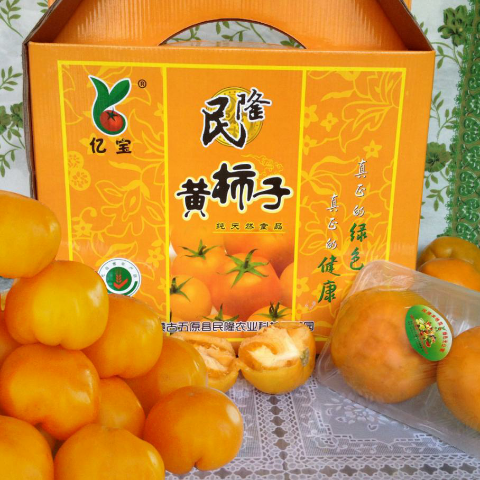 预售-五原黄柿子-五斤装包邮