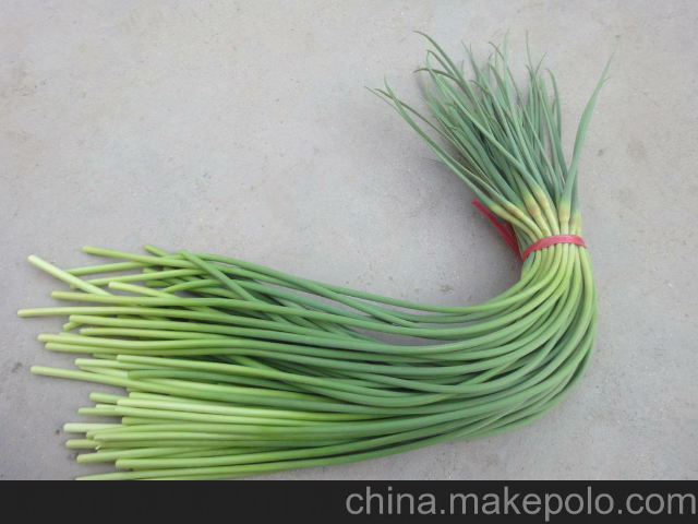 预售-仁兆蒜薹-五斤装包邮