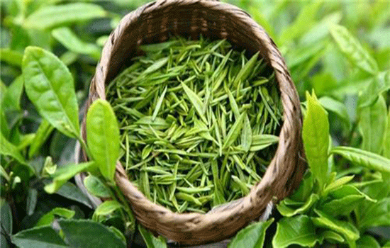 预售-仪征绿杨春茶-500克装包邮