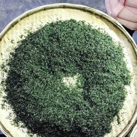 预售-保靖黄金茶-500克装包邮