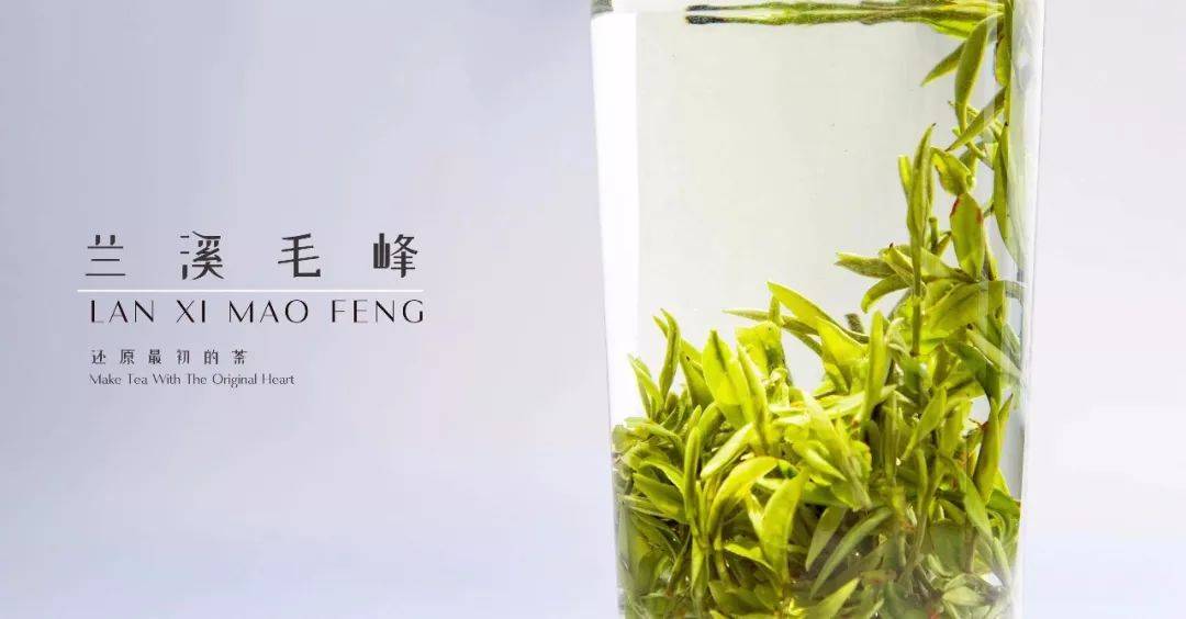 预售-兰溪毛峰-500克装包邮
