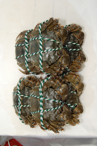 预售-兴化大闸蟹-500克装包邮