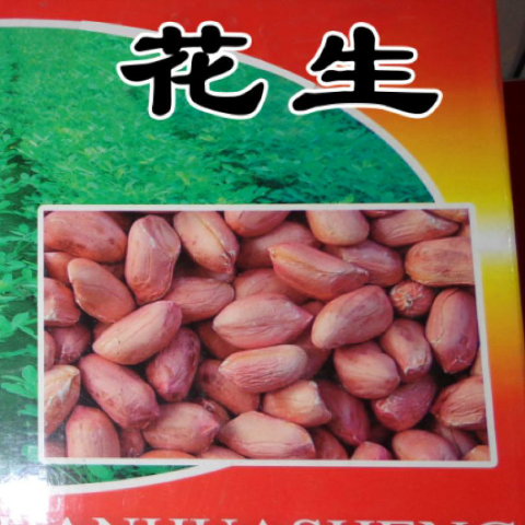 预售-内黄花生-500克装包邮
