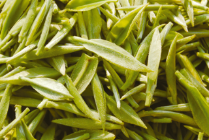 预售-凤冈锌硒茶-500克装包邮