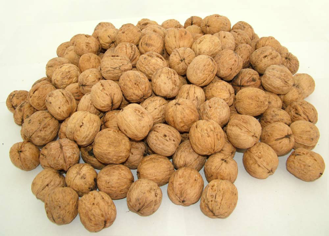 预售-古县核桃-十斤装包邮