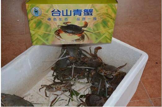 预售-台山青蟹-500克装包邮