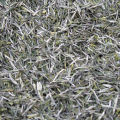 预售-固始皇姑山茶-500克装包邮