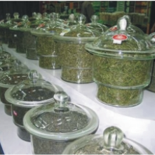 预售-圣水绿茶-500克装包邮