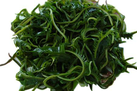 预售-大连裙带菜-500克装包邮