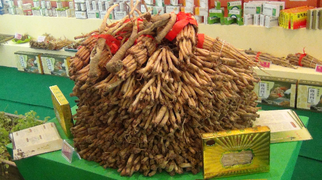 预售-宕昌党参-500克装包邮