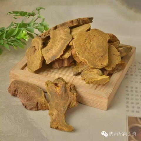预售-宕昌大黄-500克装包邮