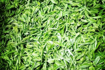 预售-宜都宜红茶-500克装包邮