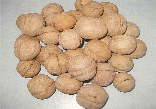 预售-巩留核桃-十斤装包邮