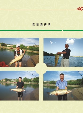 预售-巴图湾鲤鱼-500克装包邮