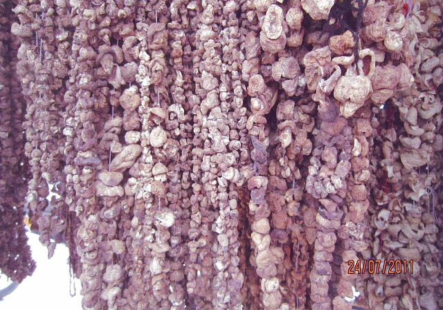 预售-巴音布鲁克蘑菇-500克装包邮