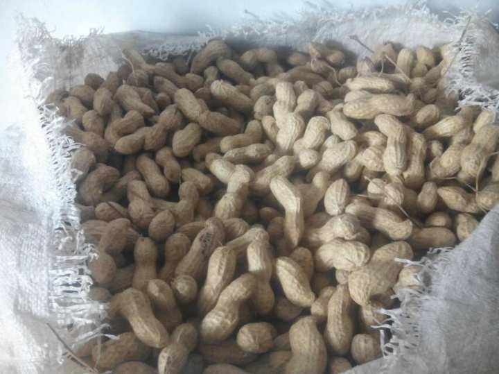 预售-开封县花生-500克装包邮