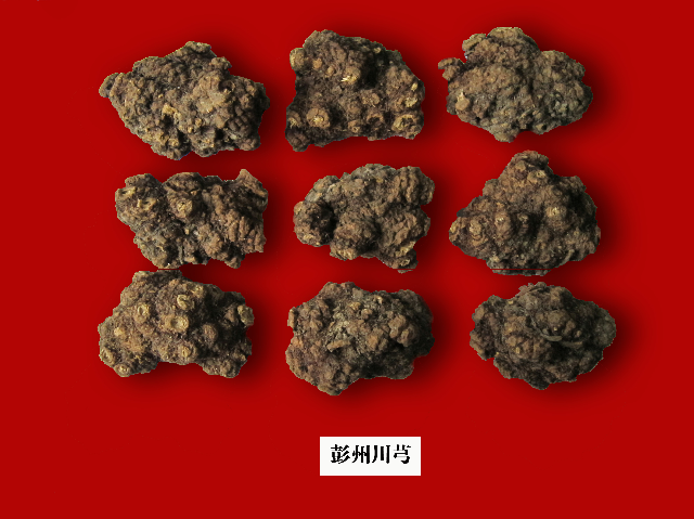 预售-彭州川芎-500克装包邮