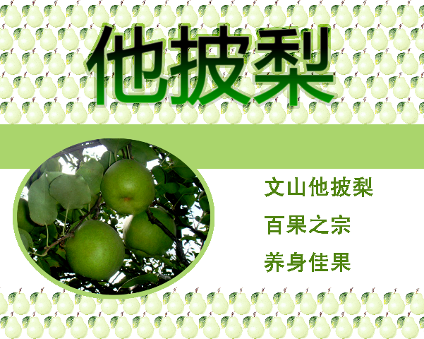 预售-文山他披梨-十斤装包邮