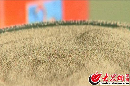 预售-无棣卤虫卵-500克装包邮