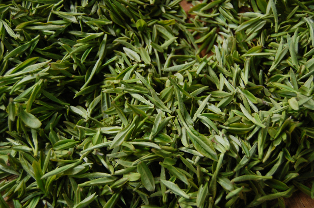 预售-普陀佛茶-500克装包邮