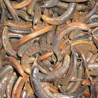 预售-柳下邑猪牙皂-500克装包邮