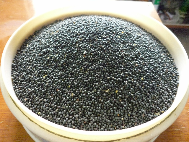 预售-武穴双低油菜-500克装包邮