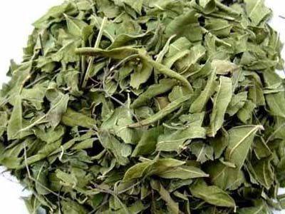 预售-沙雅罗布麻茶-500克装包邮