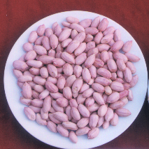 预售-泰兴花生-500克装包邮