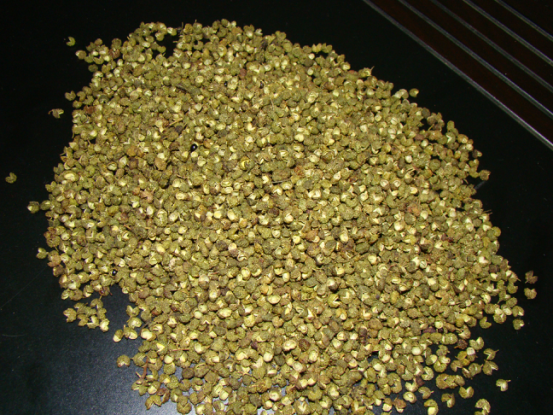预售-溪洛渡花椒-500克装包邮