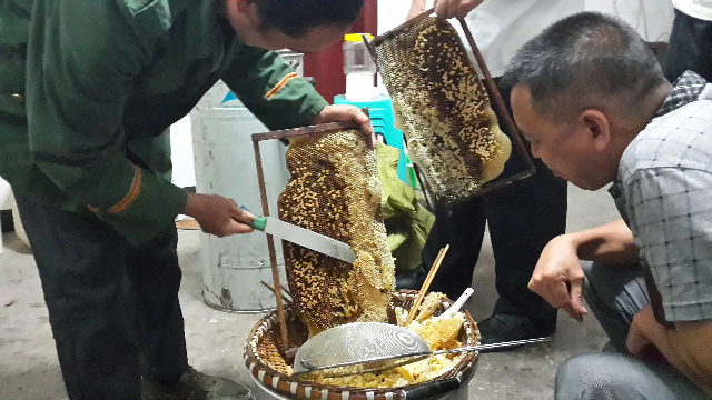 预售-白马蜂蜜-500克装包邮