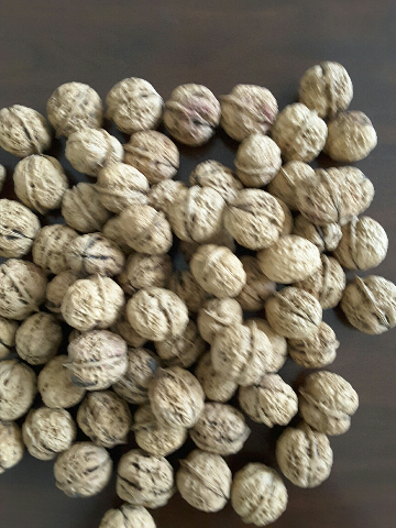 预售-盘县核桃-十斤装包邮