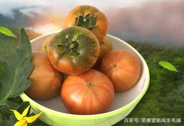 预售-盘锦碱地柿子-十斤装包邮