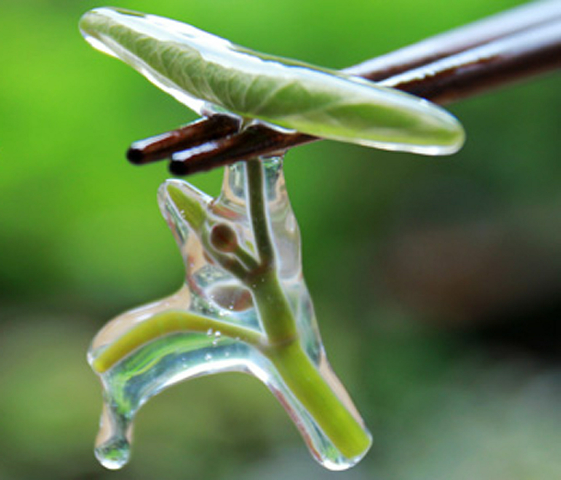 预售-石柱莼菜-500克装包邮
