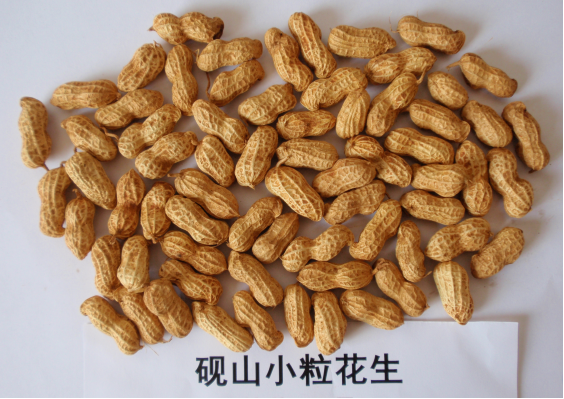 预售-砚山小粒花生-500克装包邮