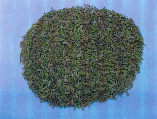 预售-策勒小茴香-500克装包邮
