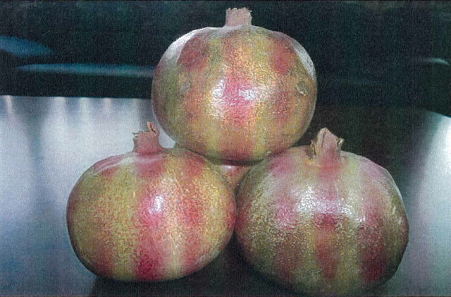 预售-策勒石榴-十斤装包邮