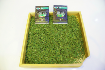 预售-纳溪特早茶-500克装包邮
