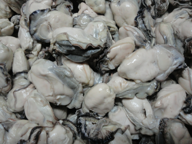 预售-荣成牡蛎-500克装包邮