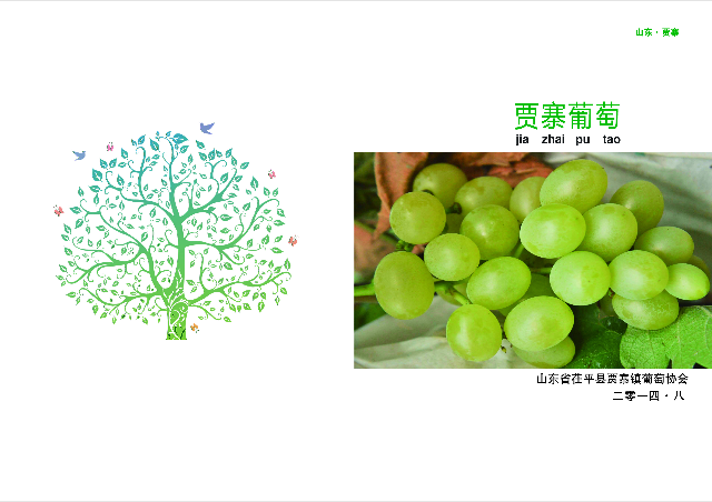 预售-贾寨葡萄-十斤装包邮