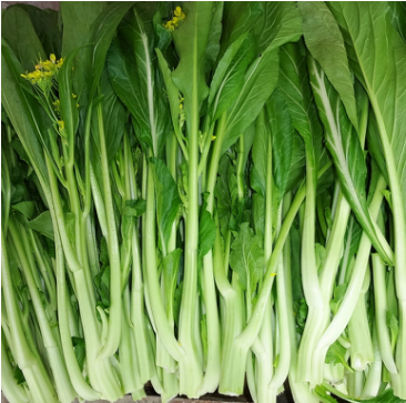 预售-连州菜心-五斤装包邮