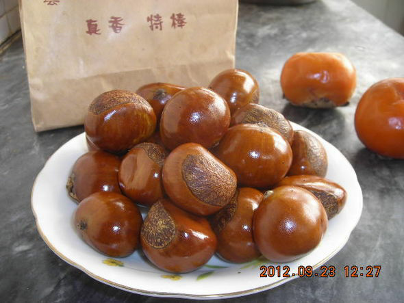 预售-邵店板栗-十斤装包邮