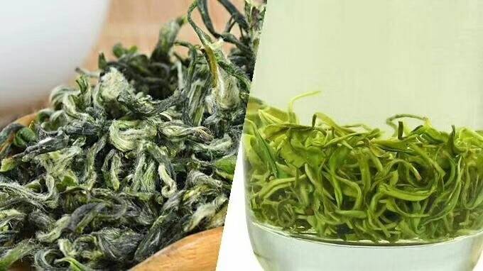 预售-都匀毛尖茶-500克装包邮