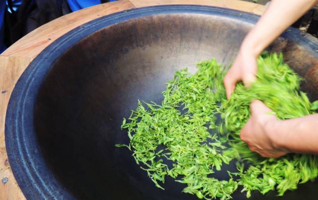 预售-都江堰茶叶-500克装包邮