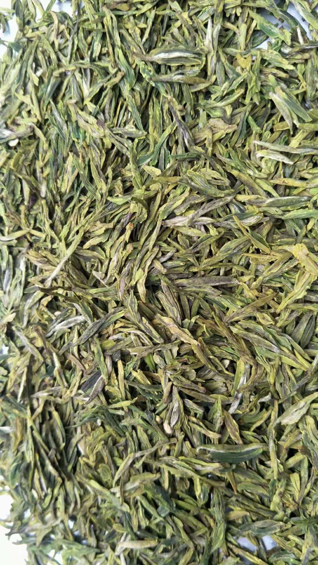 预售-都督翠茗-500克装包邮