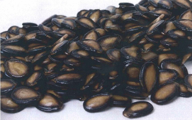 预售-阜康打瓜籽-十斤装包邮