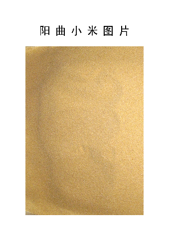 预售-阳曲小米-五斤装包邮