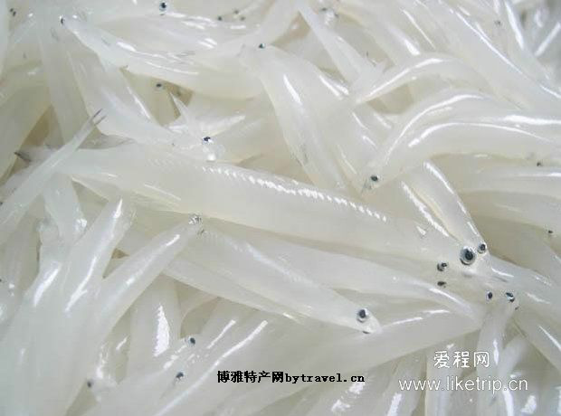 预售-马鬐山银鱼-500克装包邮