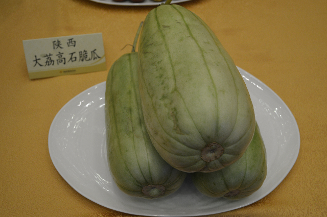 预售-高石脆瓜-十斤装包邮
