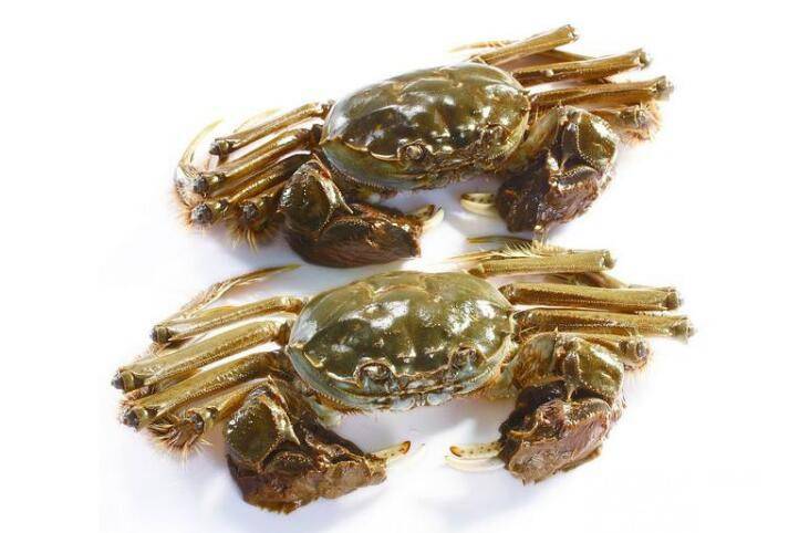 预售-麻大湖毛蟹-500克装包邮